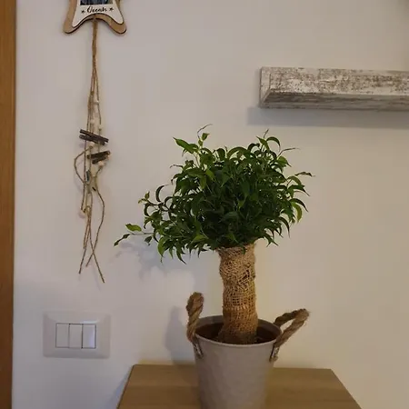 Апартаменты Bella Alba On The Альба-Адриатика