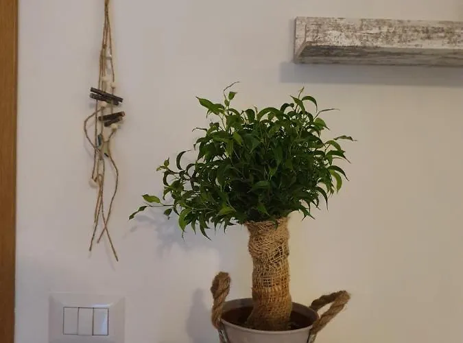 Apartamento Bella Alba On The Alba Adriatica